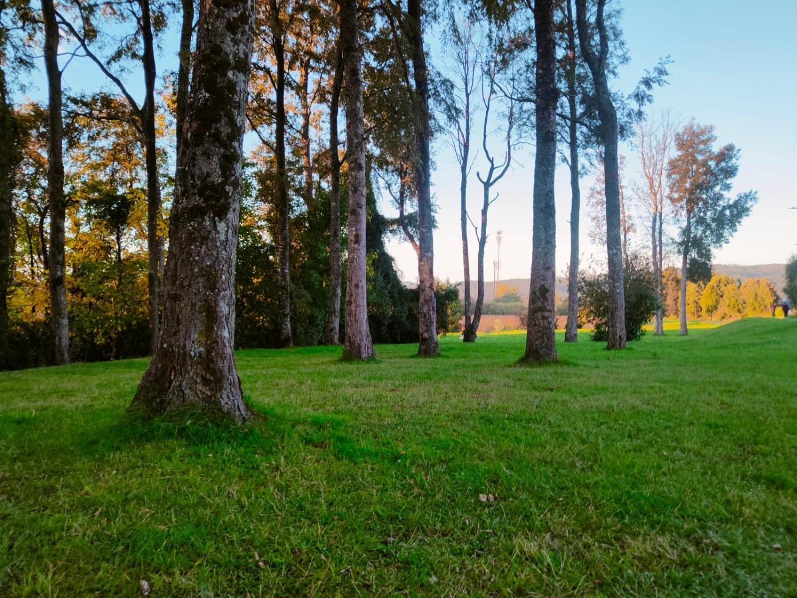 1, Barrio Santa Elena Apartamento Valdivia